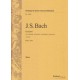 Konzert A moll BWV 1041/ Cello & Bass