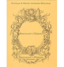 Konzert für Kontrabass und Orchester/ Fu