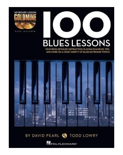 100 Blues Lessons   2 CD