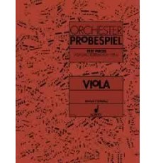 Orchester Probespiel. Viola