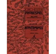 Orchester Probespiel. Double Bass
