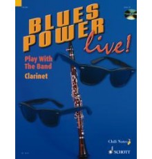 Blues Power Live! Pay Eith The Band   CD