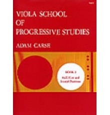 Viola School of Progressive Studies 3