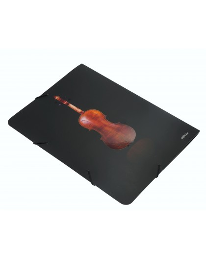 Carpeta Violín