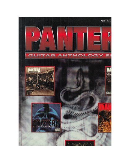 Pantera, Guitar Anthology Series