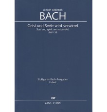 Geist und Seele Wird Verwirret BWV 35