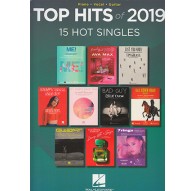 Top Hits of 2019 PVG