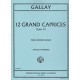 12 Grand Caprices Op. 32