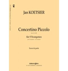 Concertino Piccolo Op.101