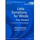 Little Symphony for Winds